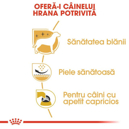Royal Canin West Highland White Terrier Adult – Hrană Uscată pentru Câini Adulți din Rasa Westie – 1,5 kg